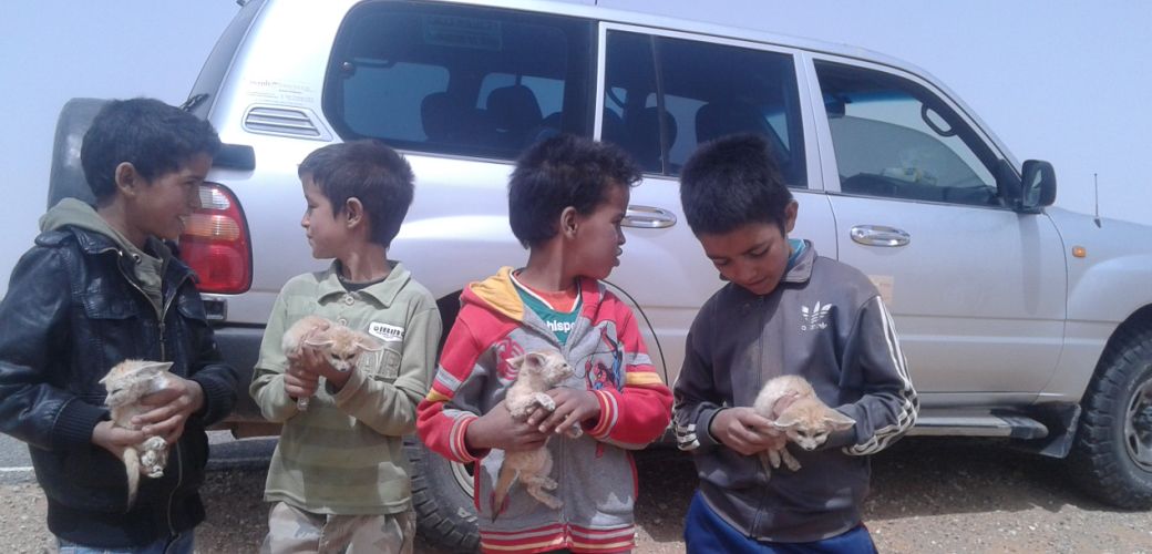 viajes organizados a Marruecos