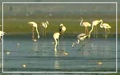 Ruta de 15 días por Marruecos desde Marrakech, Marrakech